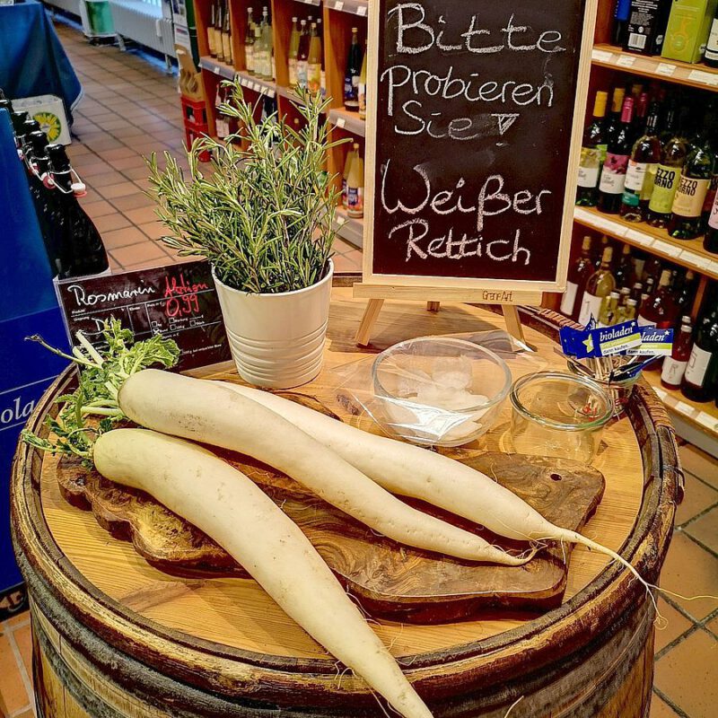 Probiern Rettich